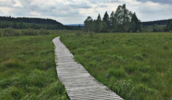 Paysage des Hautes Fagnes