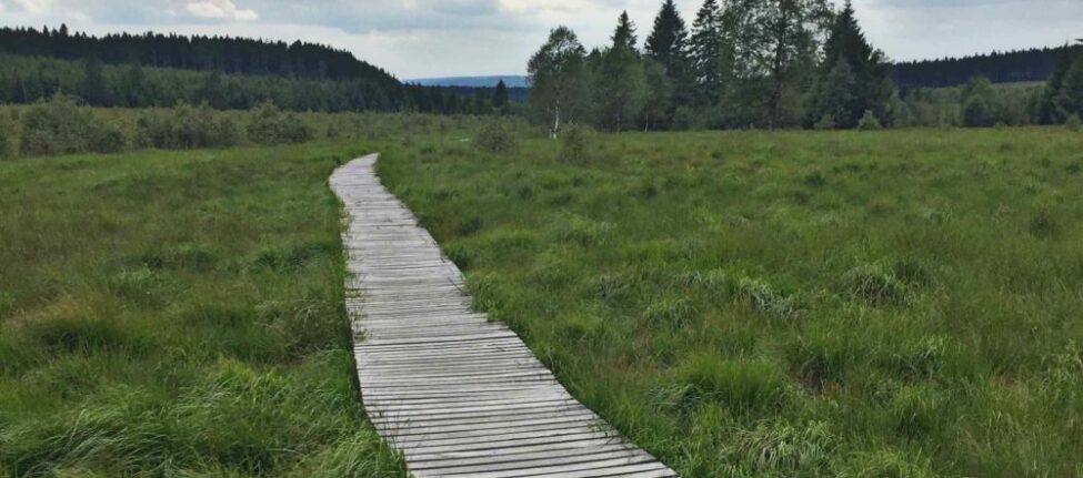 Paysage des Hautes Fagnes