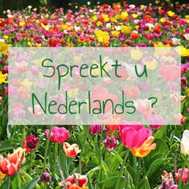Apprendre le néerlandais