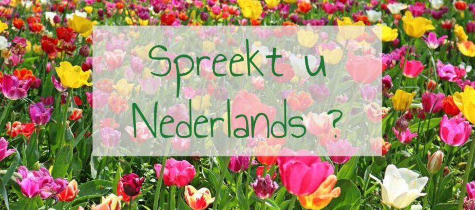 Apprendre le néerlandais