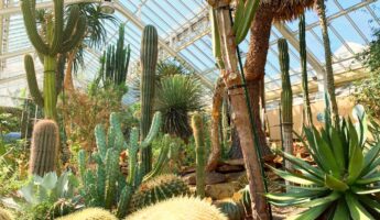 Jardin Botanique de Meise