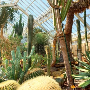 Jardin Botanique de Meise