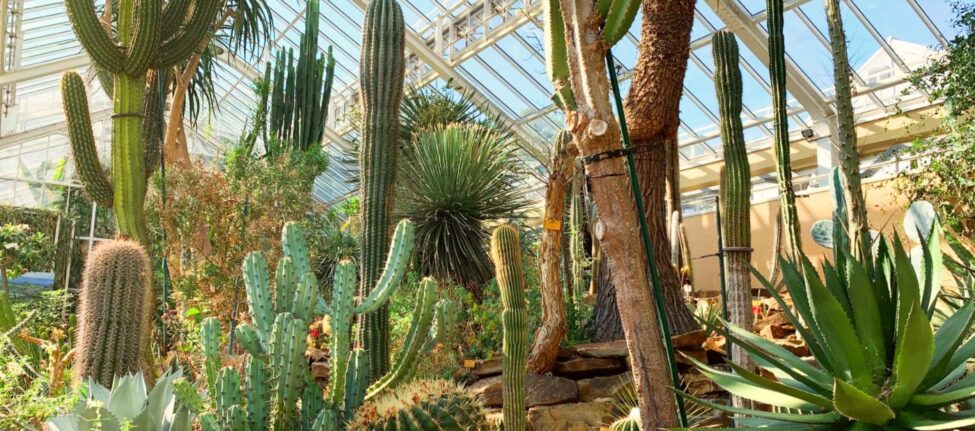 Jardin Botanique de Meise