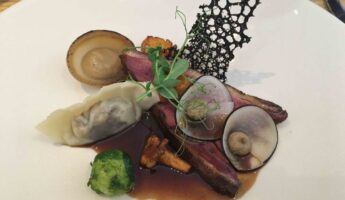 Canard et gyoza de boudin noir