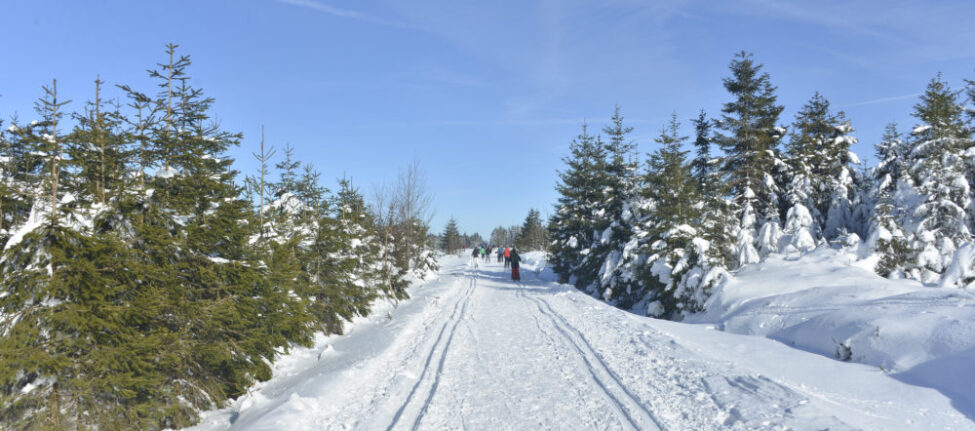 Hautes-Fagnes Belgique Neige ski