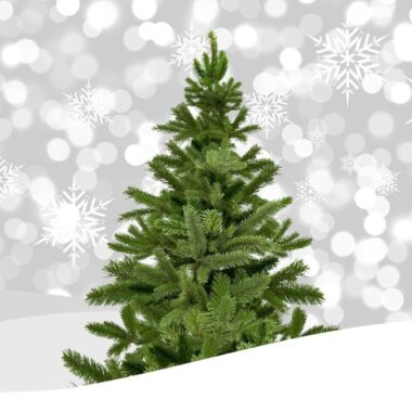 Sapin de Noël