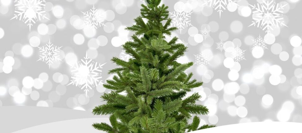 Sapin de Noël