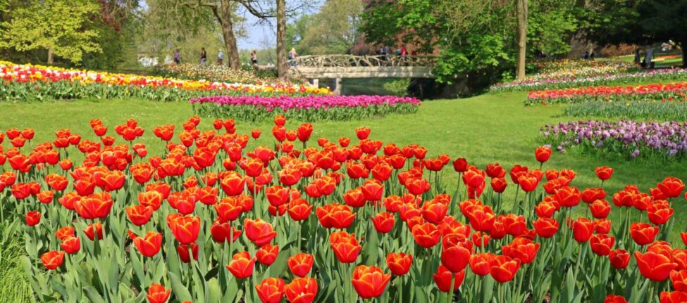 Floralia Grand Bigard 2019