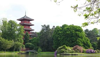 Tour japonaise serres royales laeken