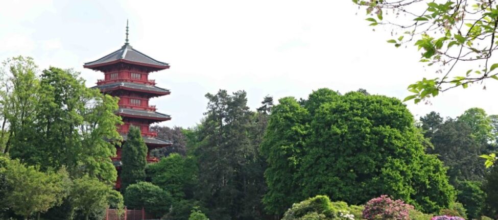 Tour japonaise serres royales laeken
