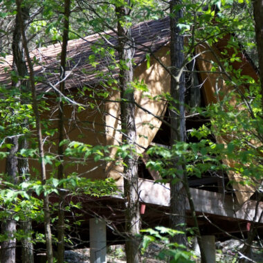 Camp scout