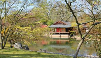 Jardin japonais Hasselt
