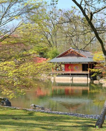 Jardin japonais Hasselt