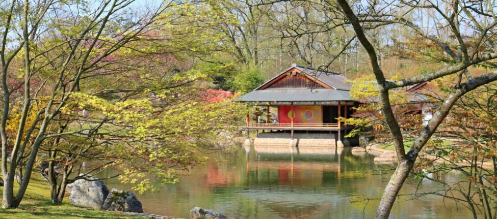 Jardin japonais Hasselt
