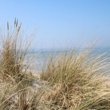 Plage de la Panne