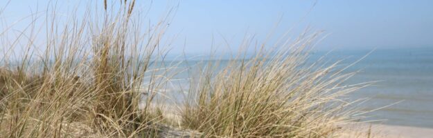 Plage de la Panne