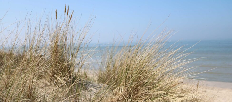 Plage de la Panne