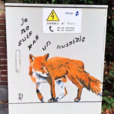 Je ne suis pas un nuisible - Renards
