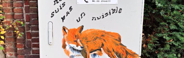 Je ne suis pas un nuisible - Renards