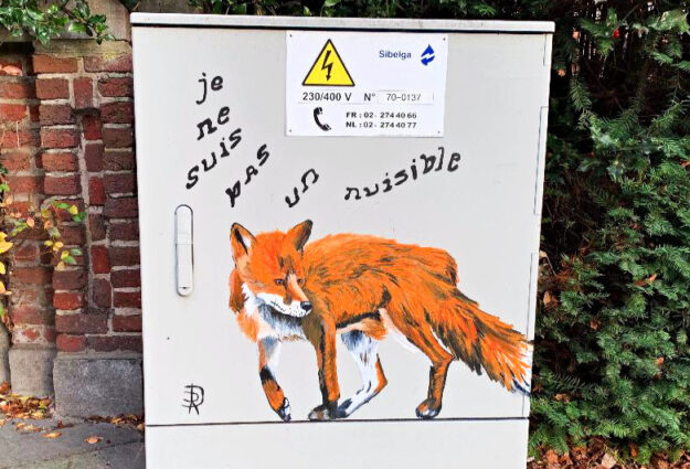 Je ne suis pas un nuisible - Renards