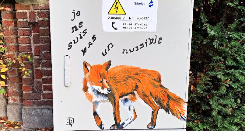 Je ne suis pas un nuisible - Renards